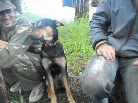 Boss tối đi bão ăn mừng U23 VN nên sáng ngủ gà ngủ gật nhìn phát ghét