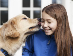 Nhận biết và phòng ngừa các bệnh lây nhiễm giữa người và chó