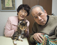 Câu chuyện về mèo và dịch vụ tìm kiếm mèo lạc chỉ có tại Nhật Bản.